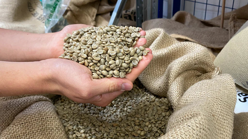Direkthandel: Was ist direkt gehandelter Kaffee?