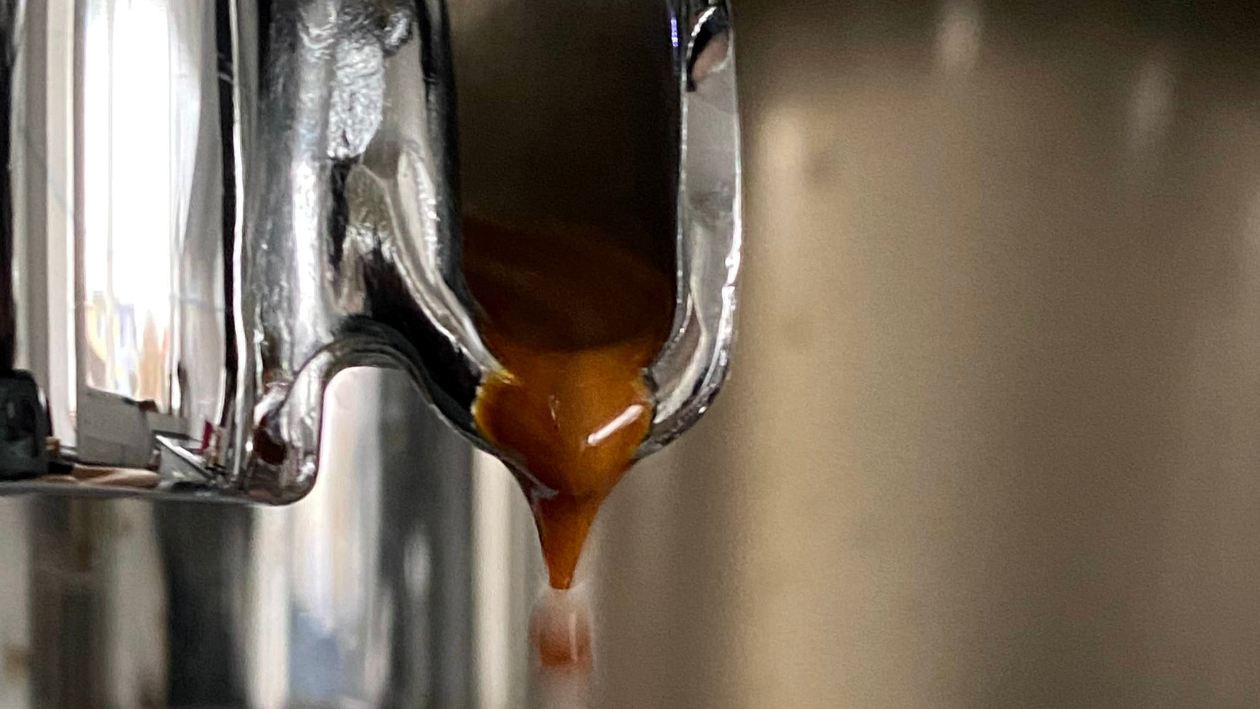 Was ist Monsoon Malabar India? Das Geheimnis des beliebten Spitzenkaffees